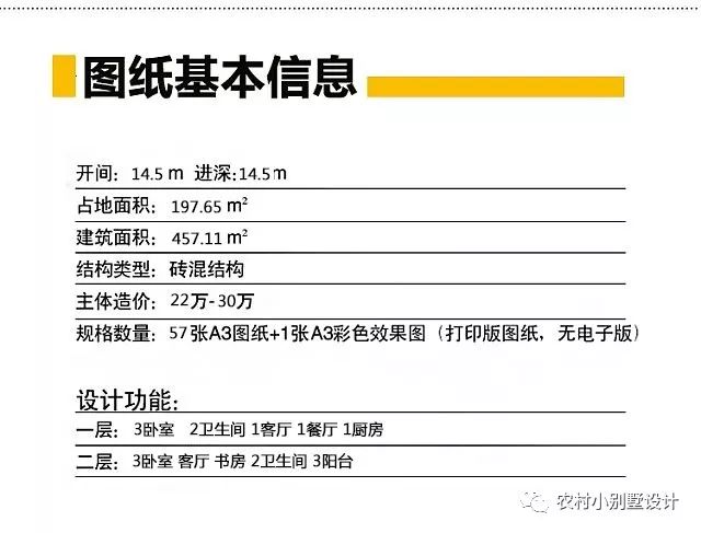 14.5X14.5米挑空客厅简约豪华的的二层农村别墅图